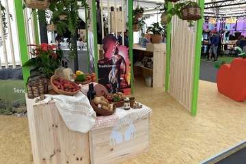  Valsequillo estrena stand de promoción en la Feria Gran Canaria Me Gusta/TA.